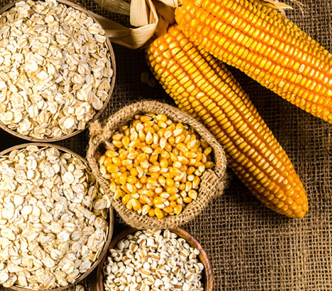 Soybeans and agro-based products by Rural Pride